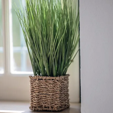 Σπίτι διακοπών Casa Do Ze Grande