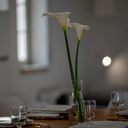 Casa Do Ze Grande Silveira (Lisbon)