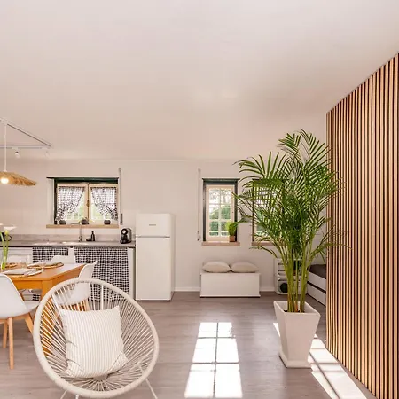 Casa Do Ze Grande Holiday home Silveira (Lisbon)