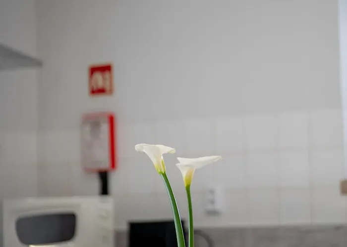 Casa Do Ze Grande * Silveira (Lisbon)