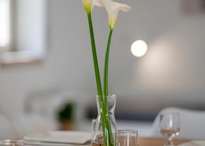 Casa Do Ze Grande Casa de Férias