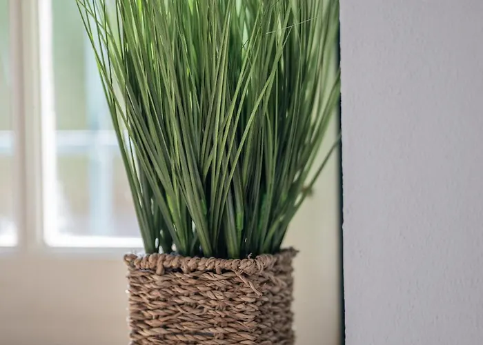 Casa de Férias Casa Do Ze Grande